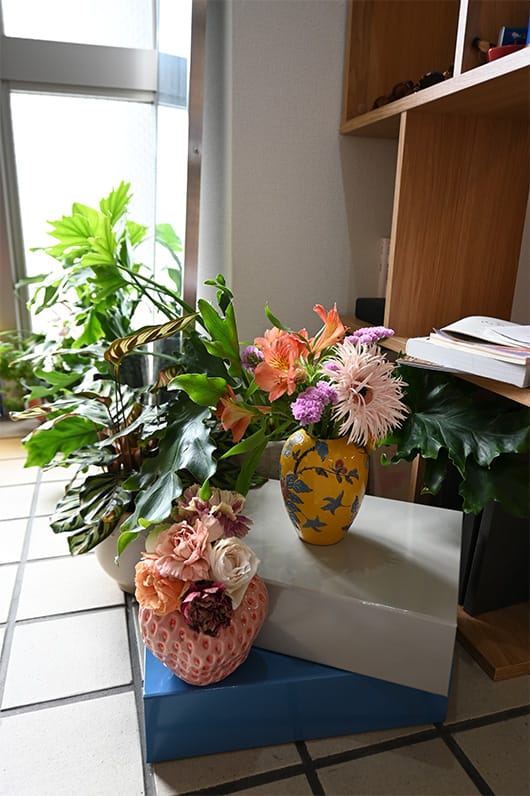 Z fcスペシャルコンテンツの作品