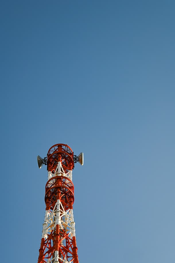 Z fcスペシャルコンテンツの作品