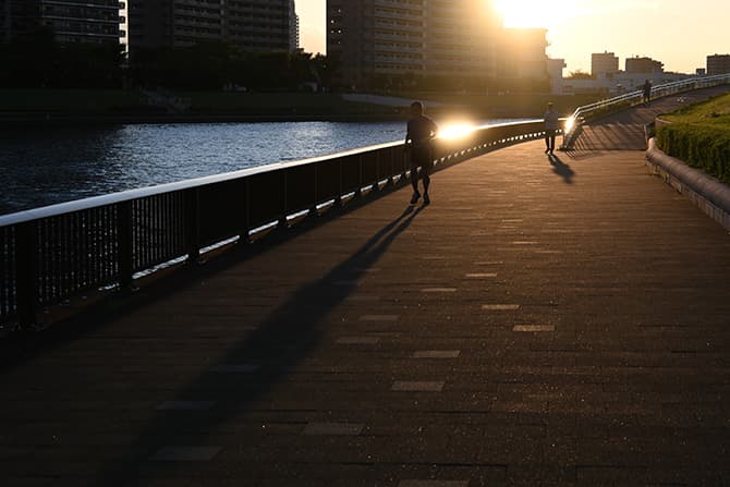 Z fcスペシャルコンテンツの作品