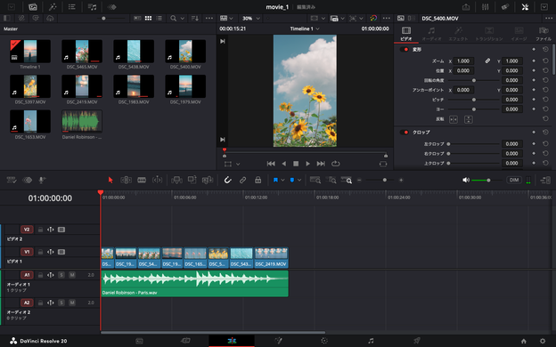 DaVinci Resolveの動画編集画面