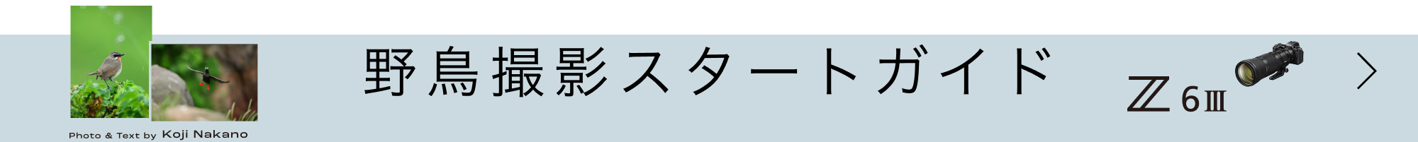 野鳥撮影スタートガイドはこちら