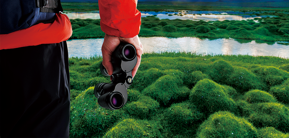 遠くの山を眺める様子