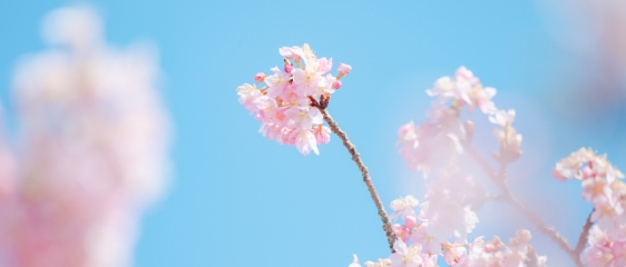 初めて買うズームレンズ