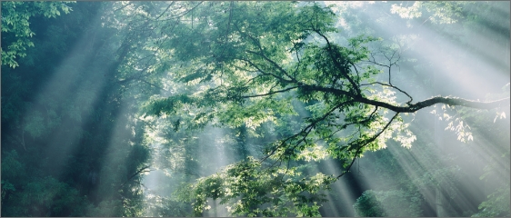 風景撮影におすすめ