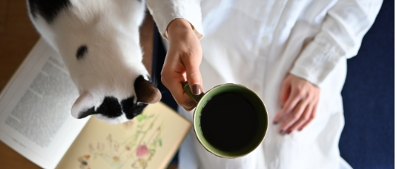 ポートレートにおすすめ