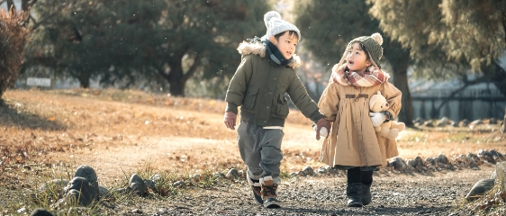 星景撮影におすすめ