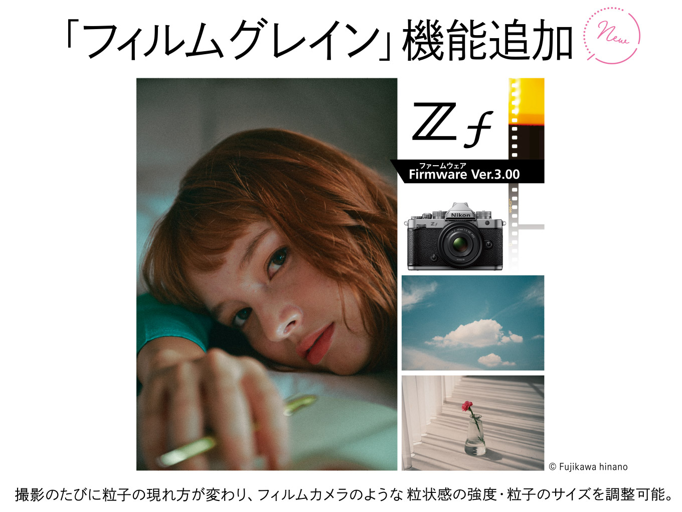 Zf ブラック コニャックブラウン - 公式通販 | ND限定アイテム