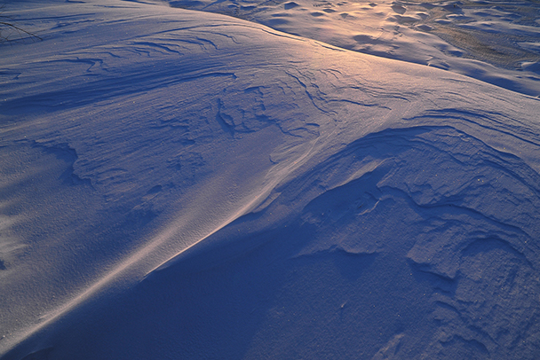 バックナンバーを見る