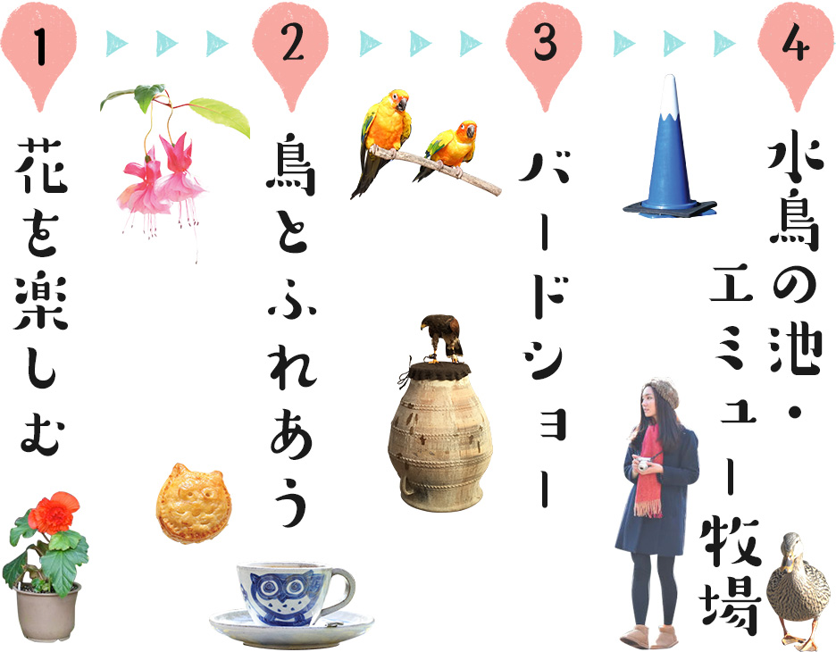1、花を楽しむ　→　2、鳥とふれあう　→　3、バードショー　→　4、水鳥の池・エミュー牧場