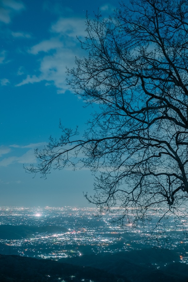 夜景の作例
