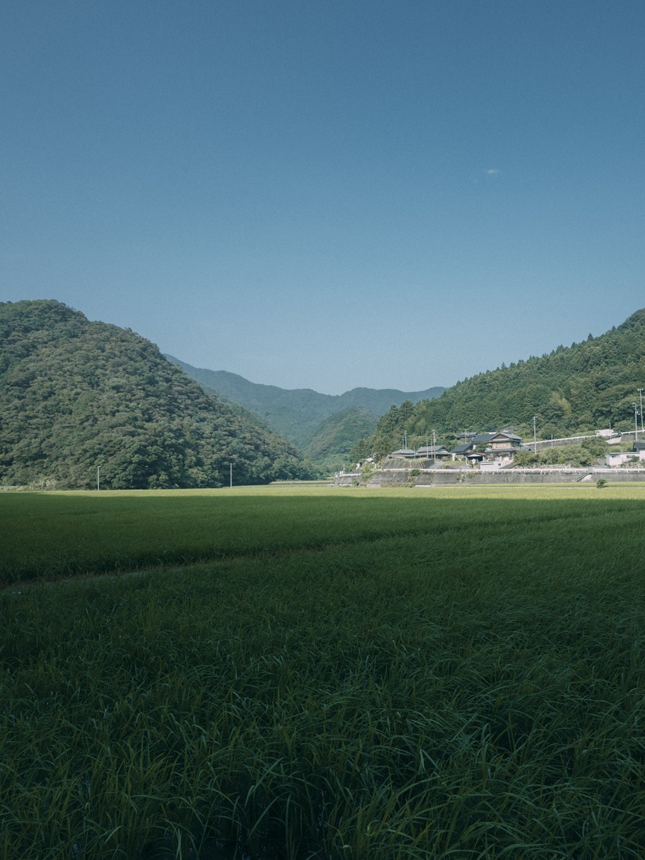 風景の作例