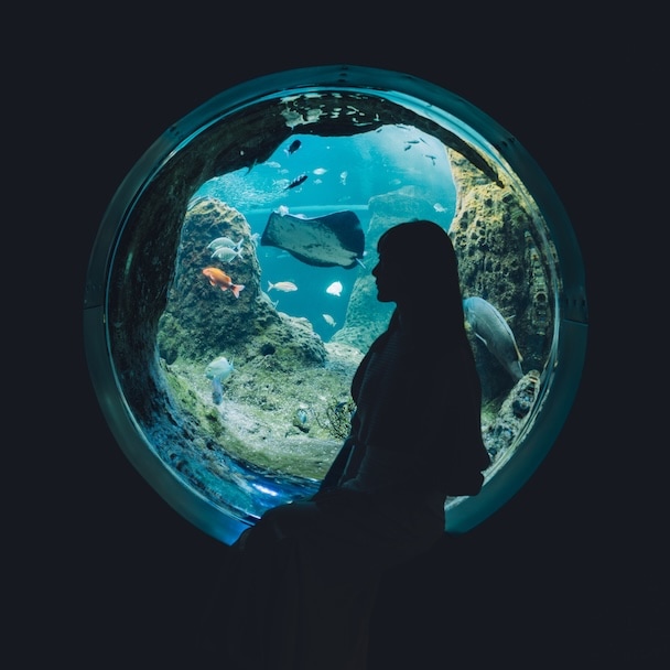 ＜水族館＞幻想的な光と影で描く、夢のような水族館フォト