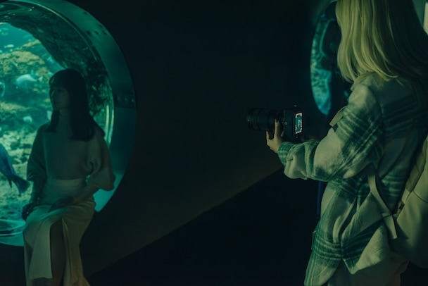 水族館のビハインド・ザ・シーンズ