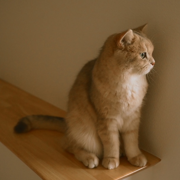 ＜三分割法＞余白と流れが生まれるバランスのよい写真構図