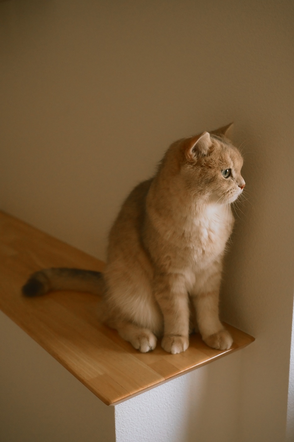 三分割法の作例