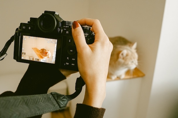 三分割法のビハインド・ザ・シーンズ