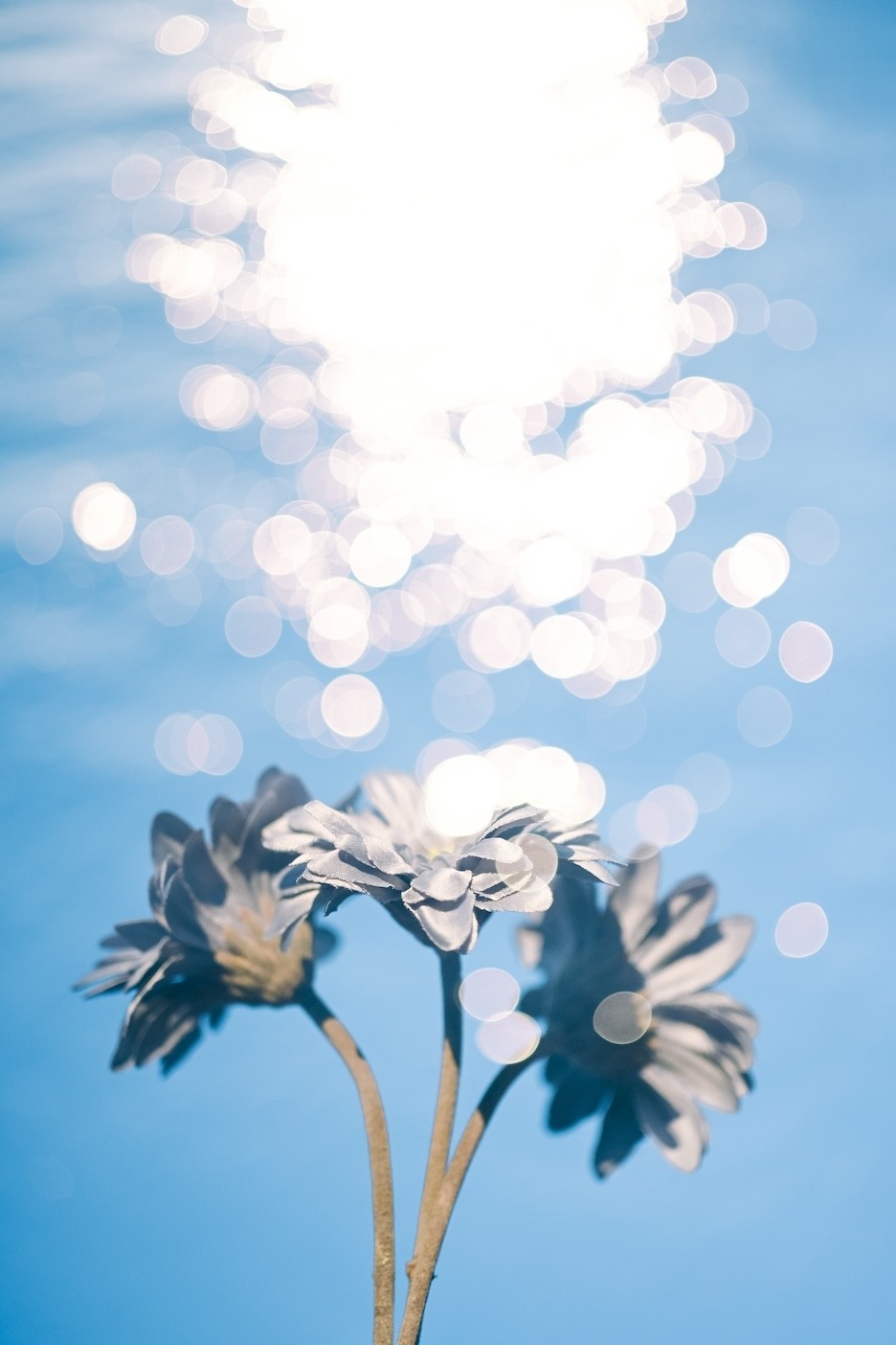 多重露出の作例