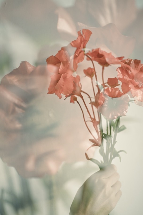 多重露出の作例