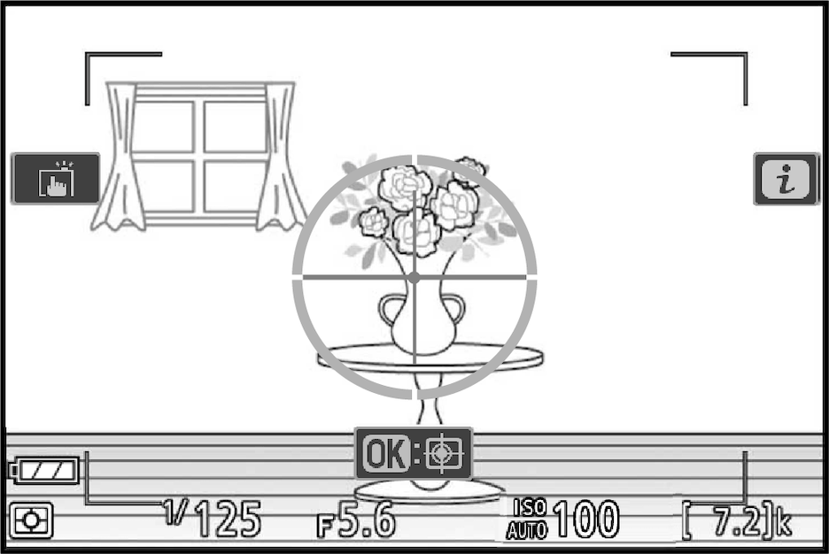 カメラのインフォ画面