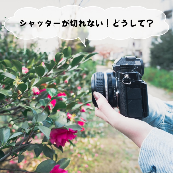 被写体に近づくとシャッターが切れない！どうして？