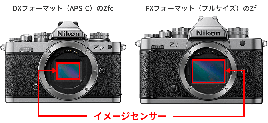 イメージセンサーの比較写真