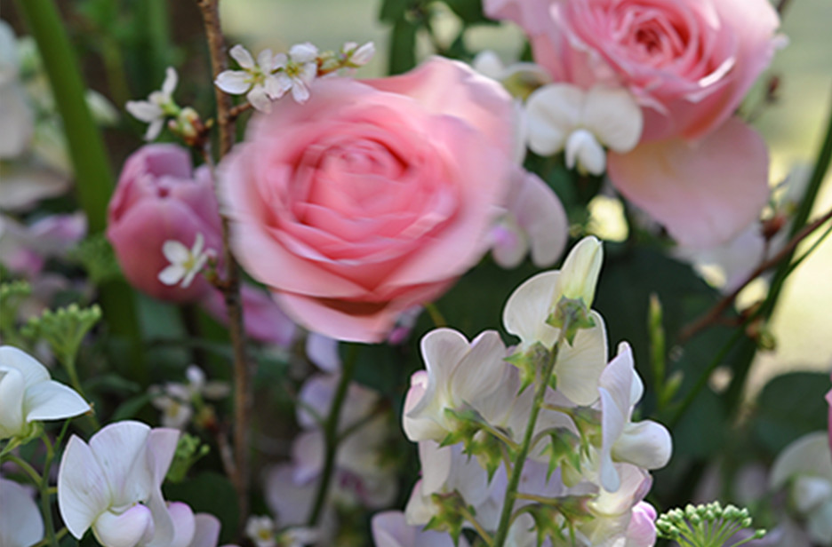 中央の花が風で揺れてブレている