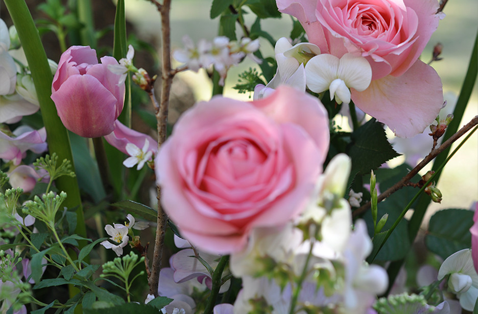 中央の花がボケている