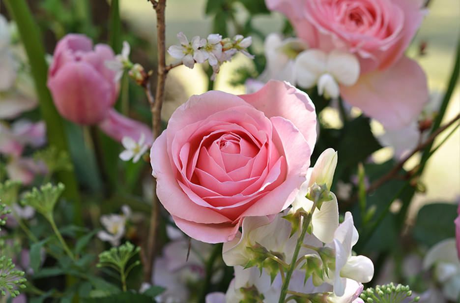 中央の花にピントが合っている