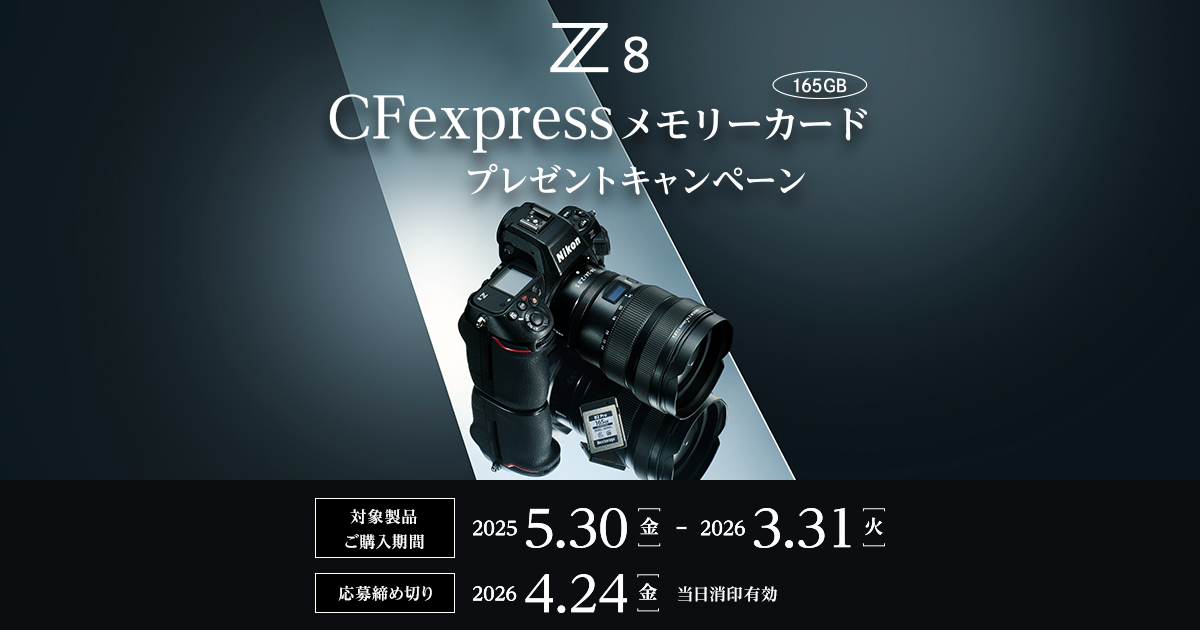 Amazon | Nikon D50 デジタルカメラメモリーカード 2 x 2GB 標準