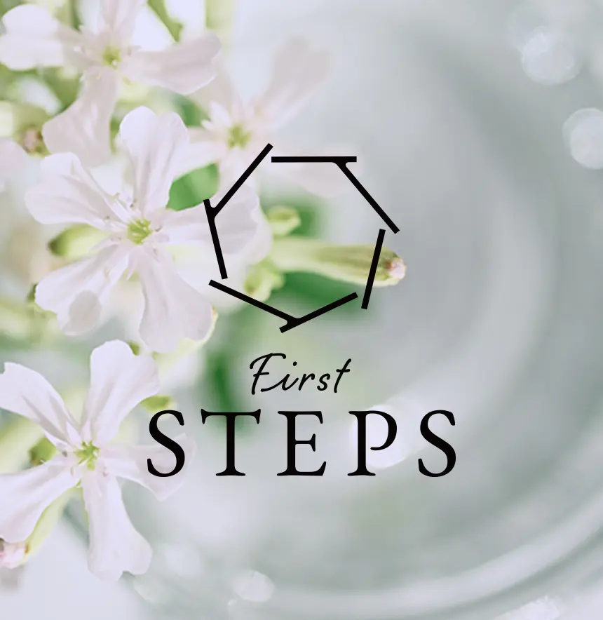First STEPSのイメージ画像