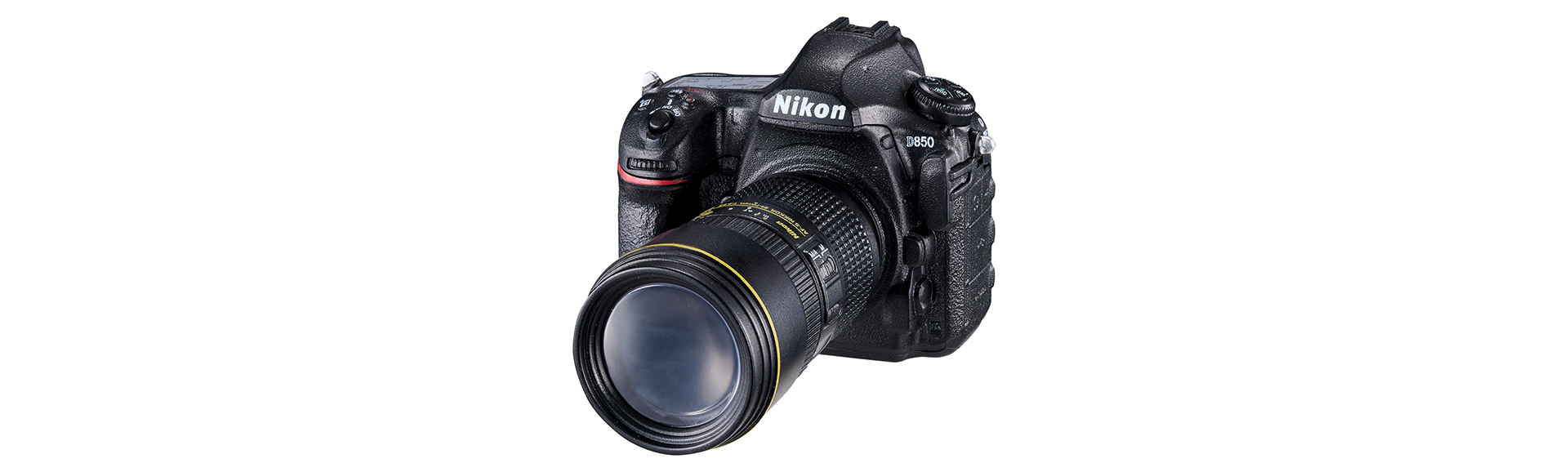 Nikon D850：AF-S NIKKOR 24-70mm f/2.8E ED VR