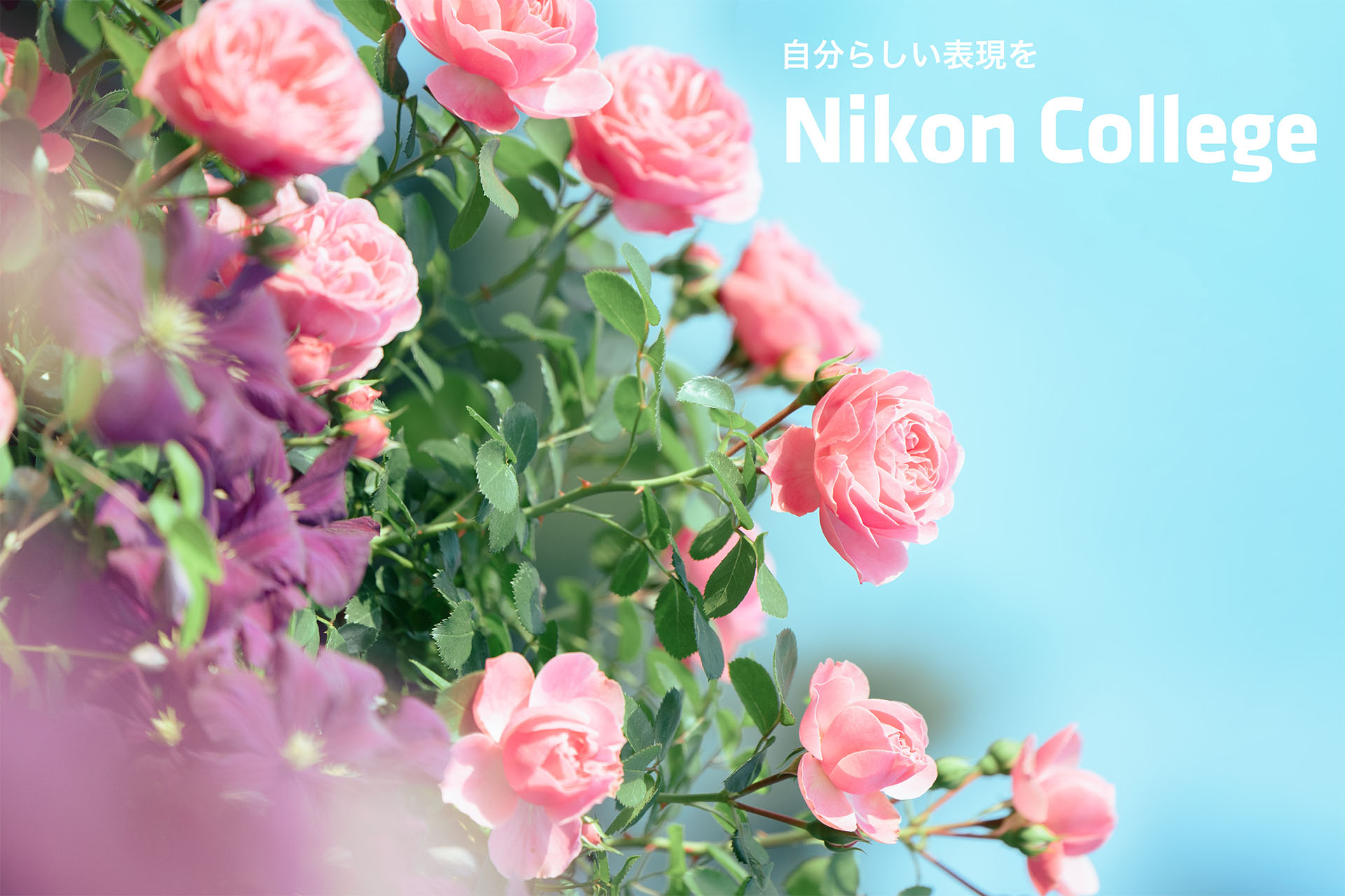 自分らしい表現を ニコン カレッジ