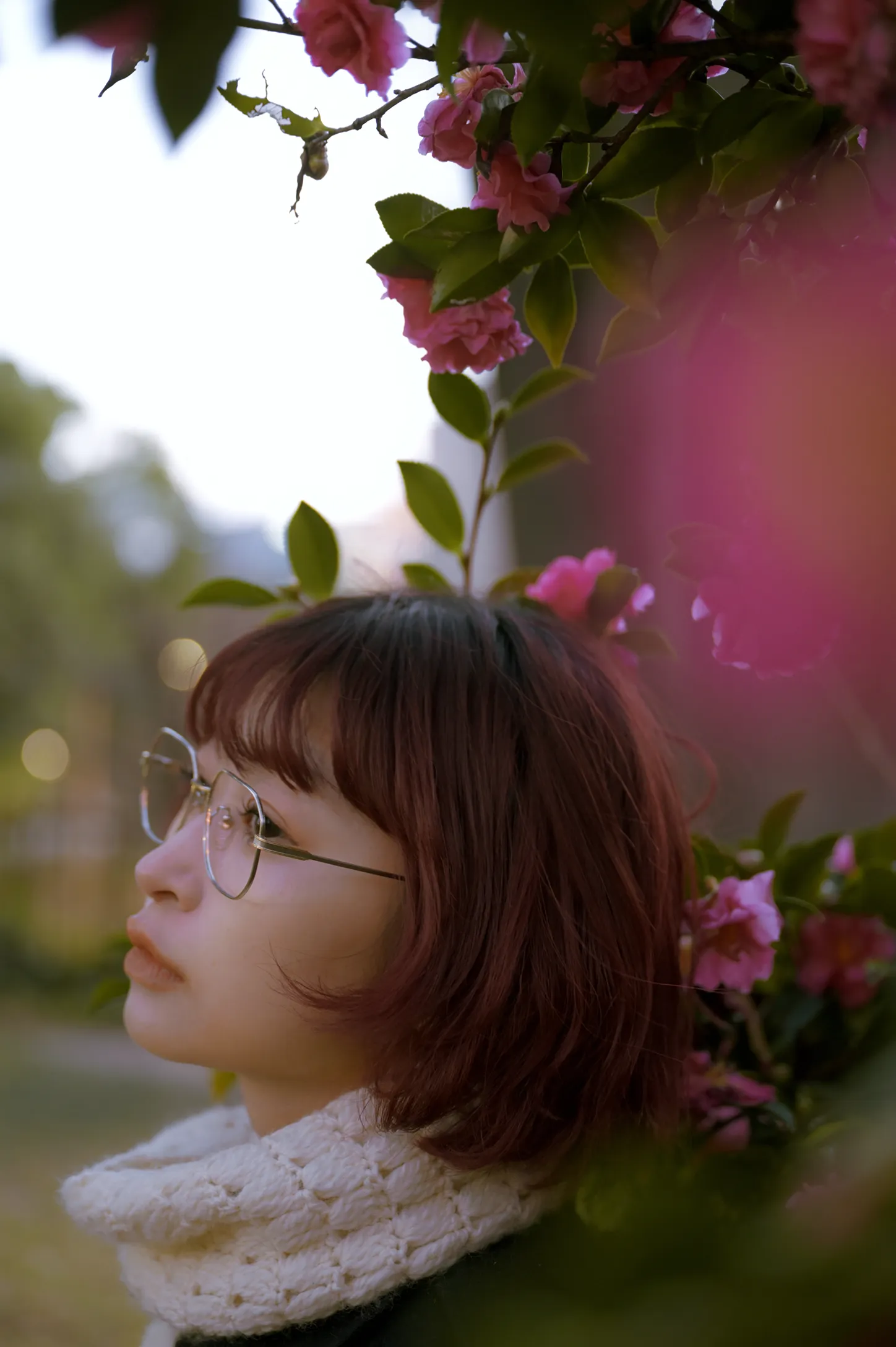 Photo: Yellow 03a 1
