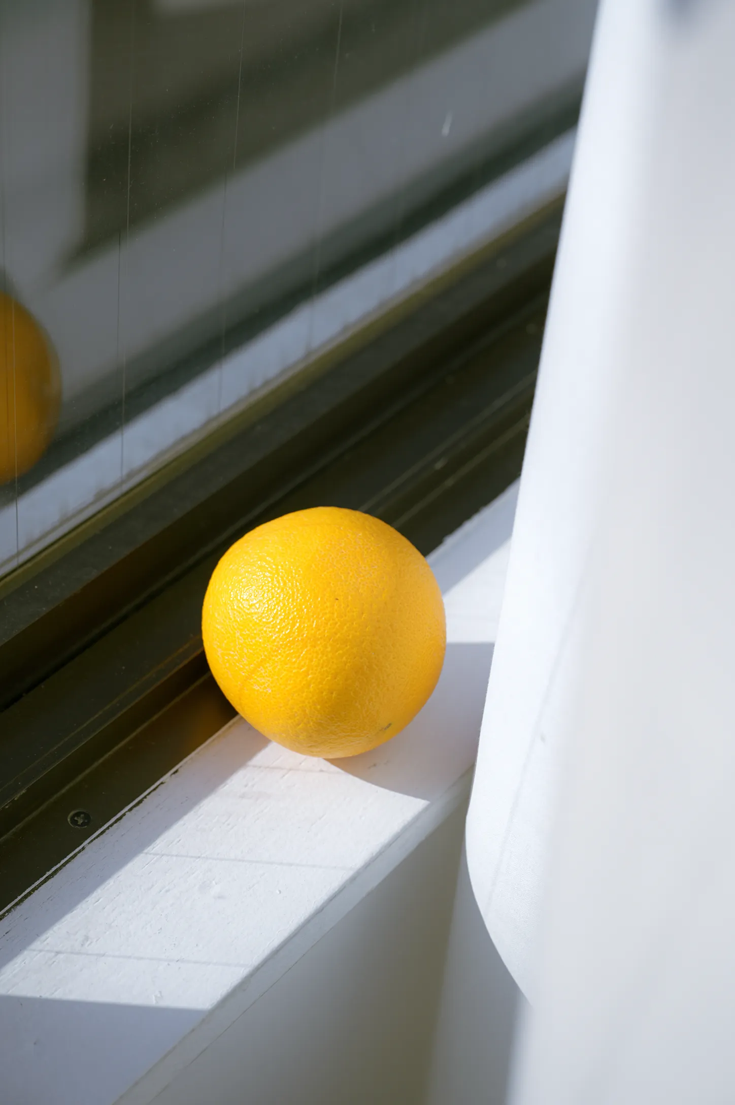 Photo: Yellow 03a 3