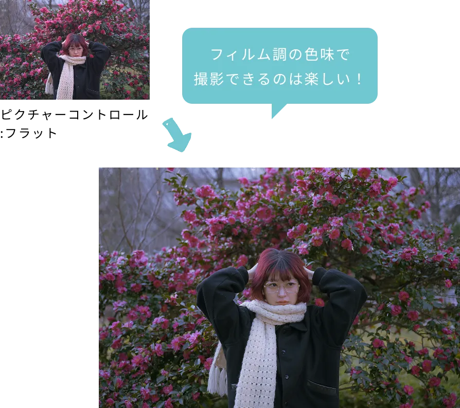 フィルム調の色味で撮影できるのは楽しい!