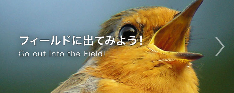 フィールドに出てみよう！ Go out Into the Field!