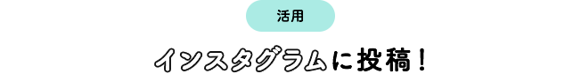 活用 インスタグラムに投稿！