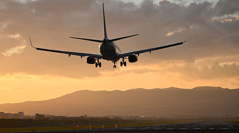 飛行機
