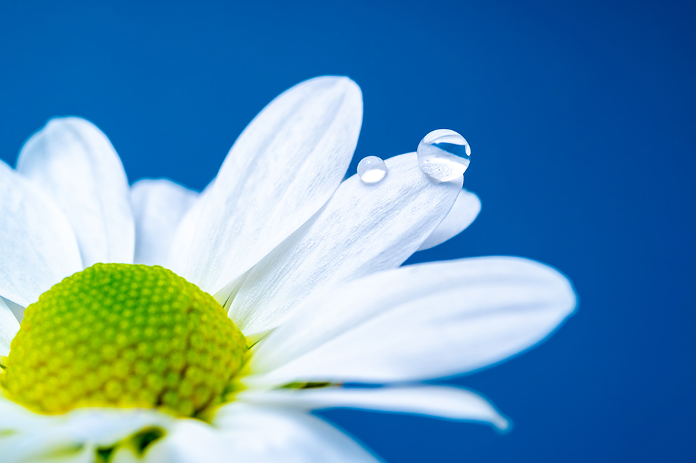 Gallery | NIKKOR Z スペシャルコンテンツ | ニコン