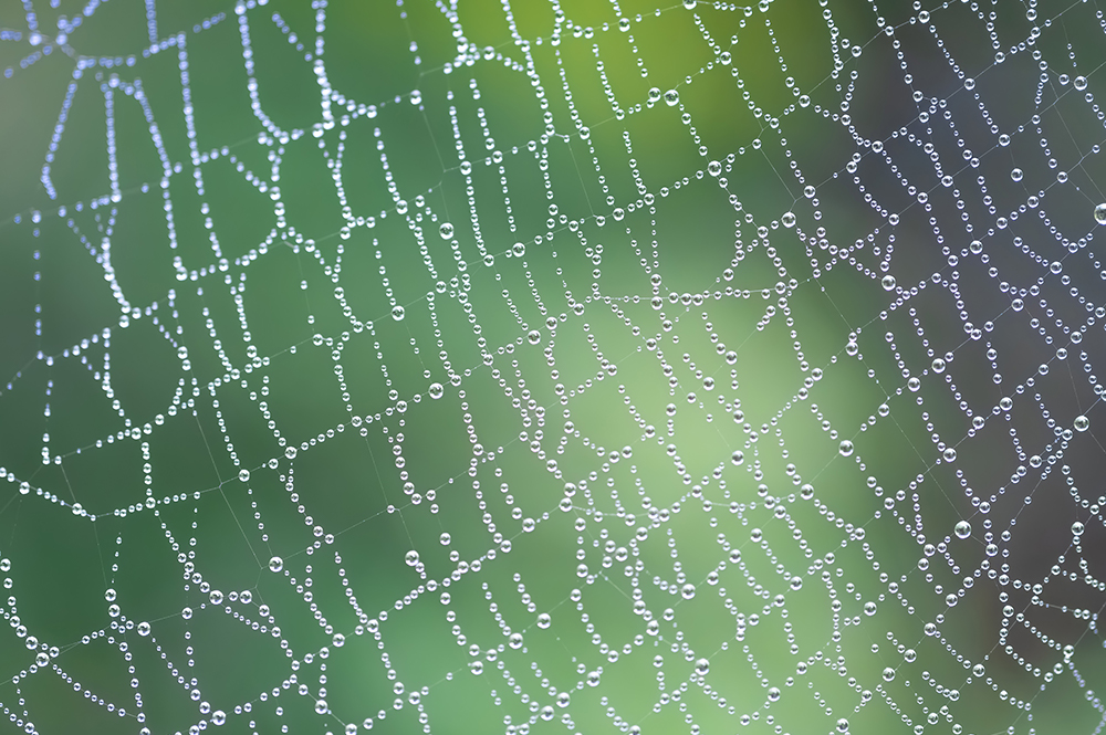 Gallery | NIKKOR Z スペシャルコンテンツ | ニコン