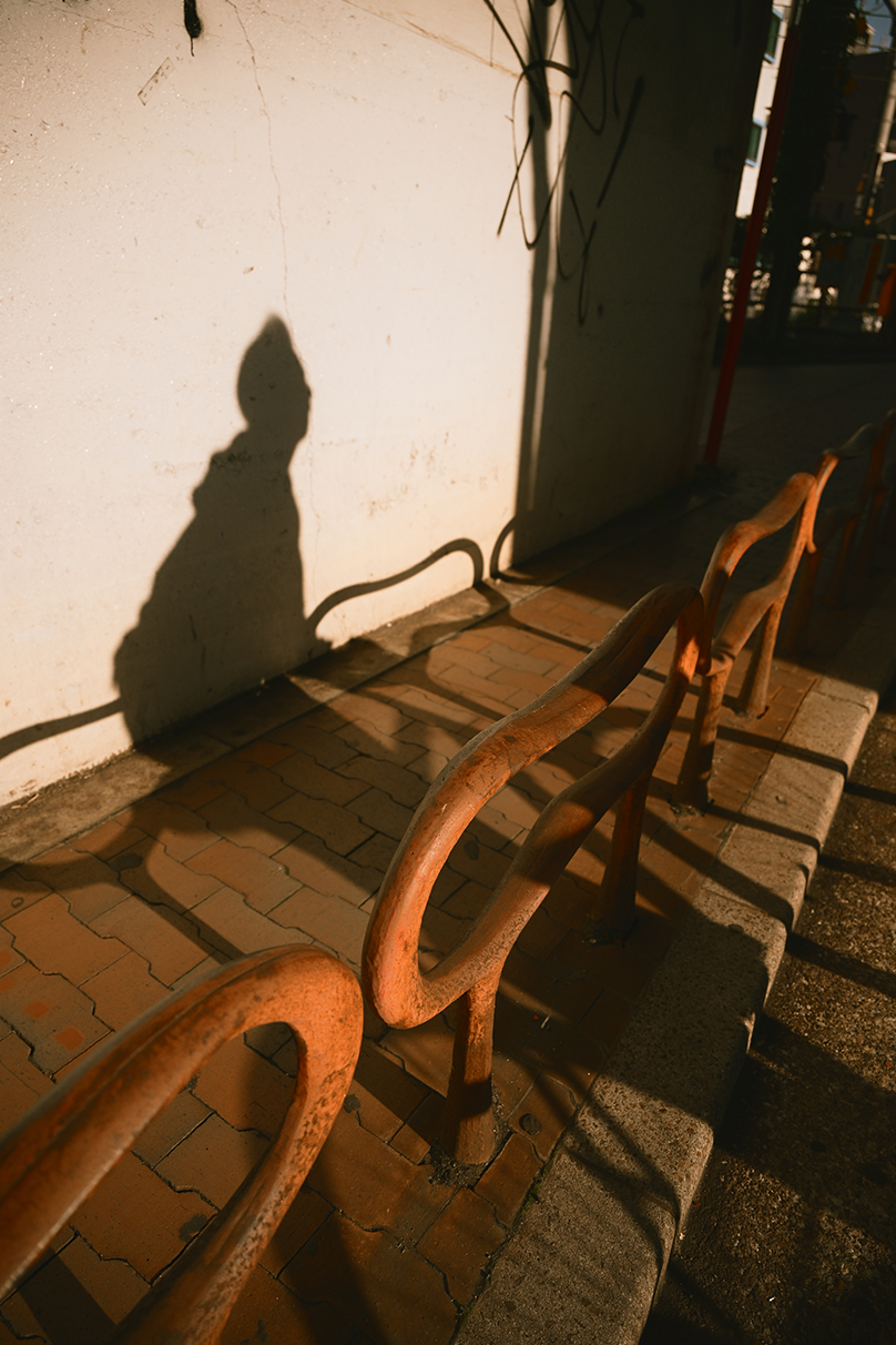 甘夏 蜜柑 Mikan Amanatsu×NIKKOR Z 24-105mm f/4-7.1作品