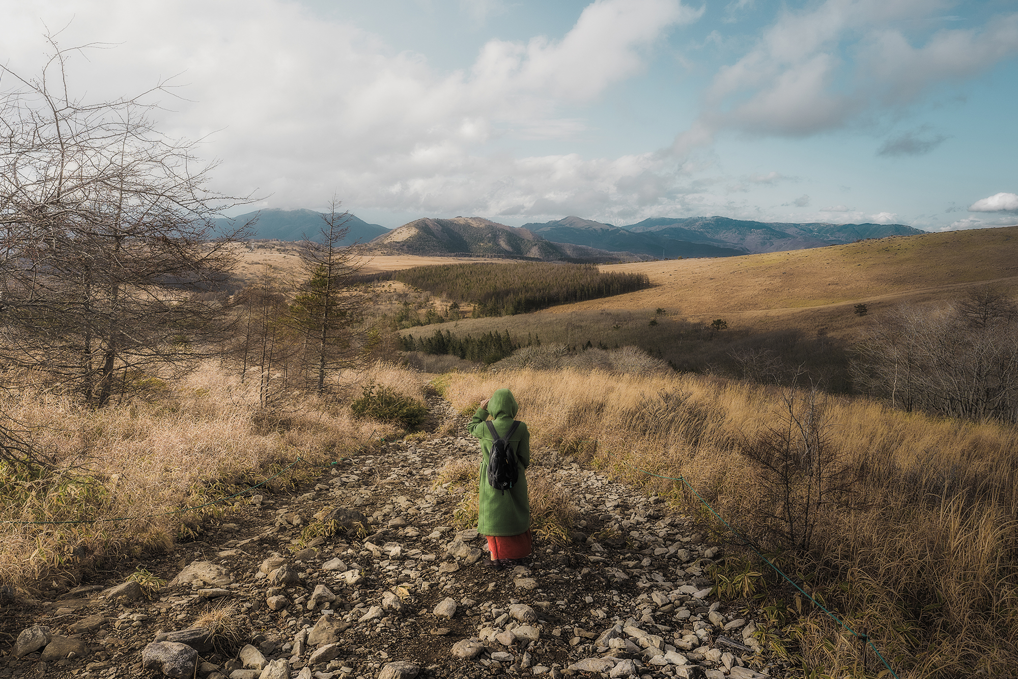 NIKKOR Z 14-24mm f/2.8 Sメイン作例写真