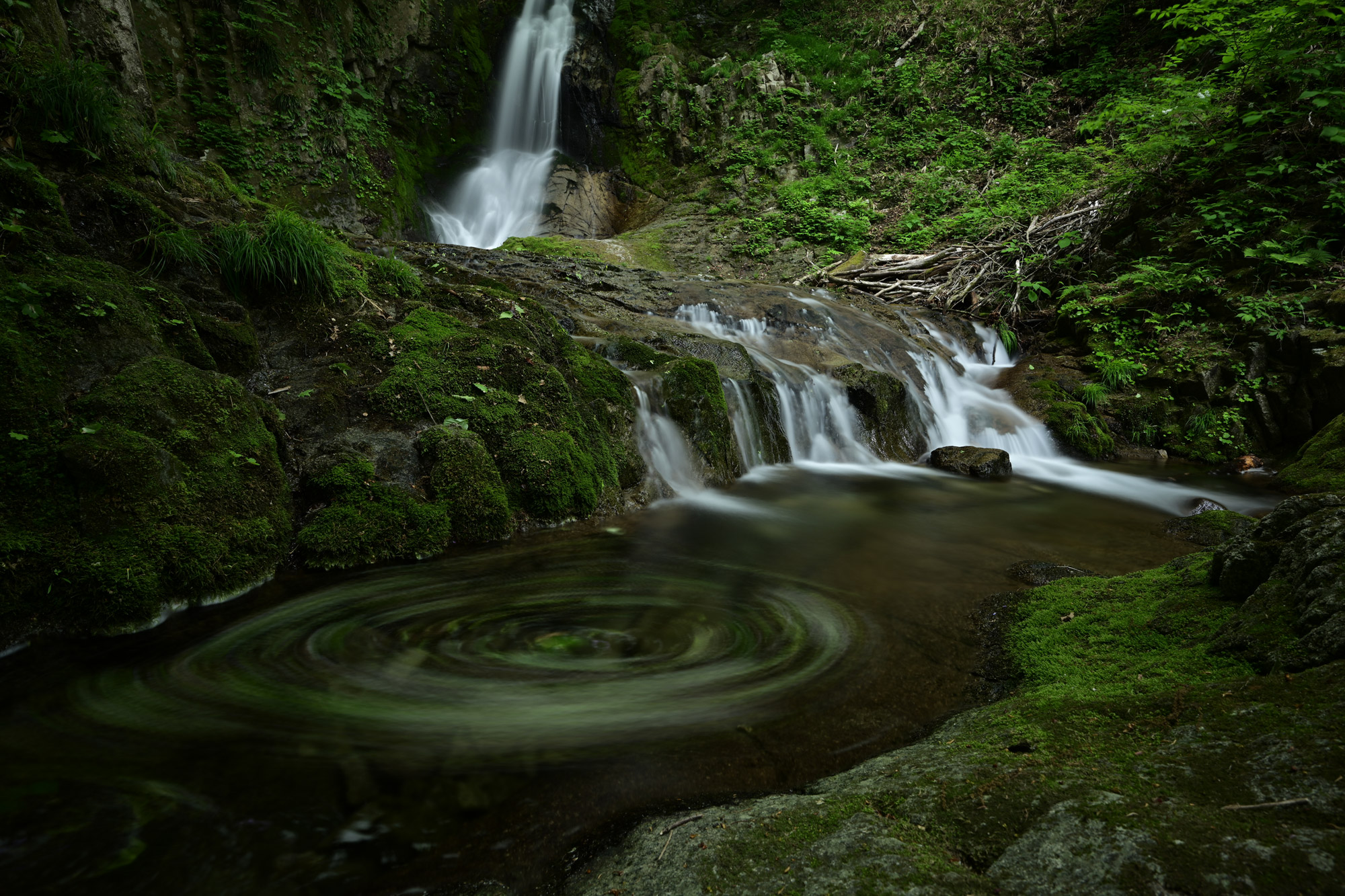 NIKKOR Z 14-30mm f/4 Sメイン作例写真