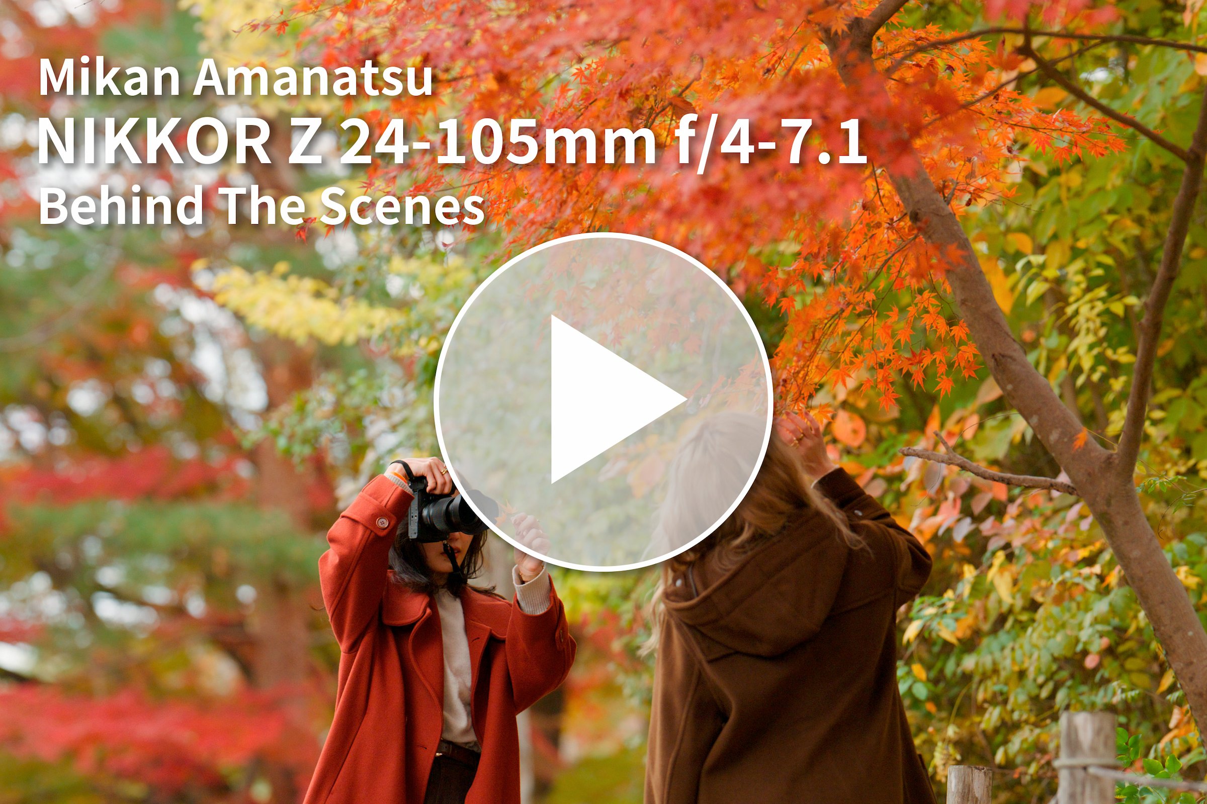 甘夏 蜜柑 Mikan Amanatsu×NIKKOR Z 24-105mm f/4-7.1 Behind The Scenes
