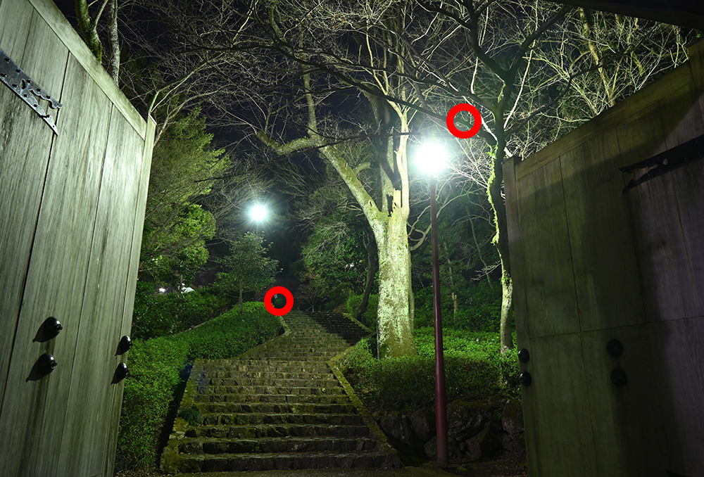 アルネオコート比較写真:NIKKOR Z 24-70mm f/2.8 S
