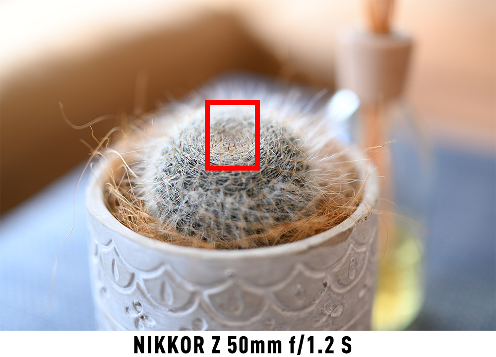ボケ比較写真:NIKKOR Z 50mm f/1.2 S