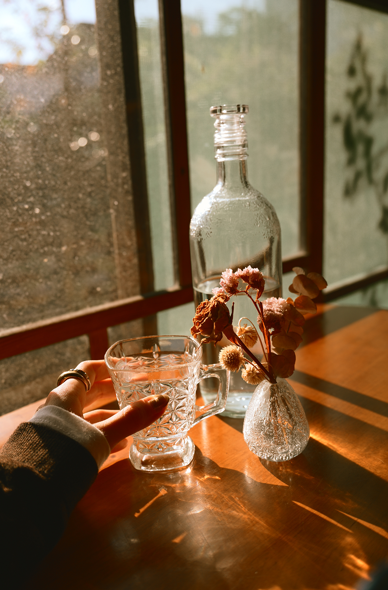 甘夏 蜜柑 Mikan Amanatsu×NIKKOR Z 24-105mm f/4-7.1作品