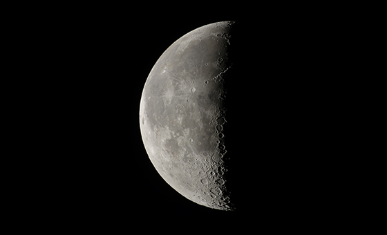●カメラ：COOLPIX P1000 ●焦点距離：約3000mm相当（35mm判換算）●撮影モード：マニュアル、1/30 秒、f/8 ●ホワイトバランス：4600K ●ISO感度：100 ●ピクチャーコントロール：スタンダード