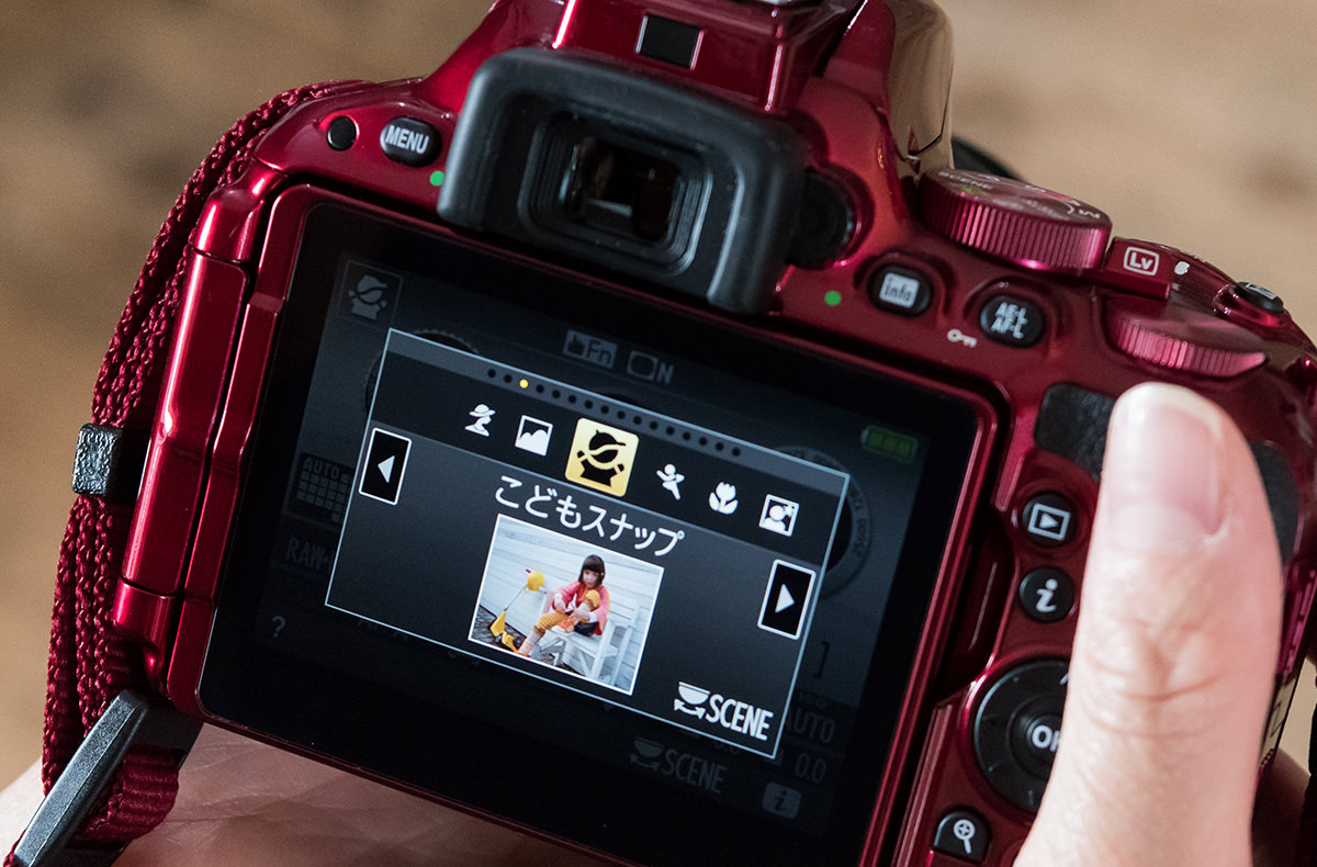 今回使用したカメラ Nikon D5500