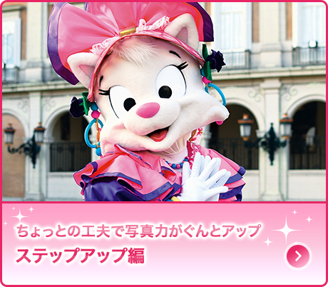 ちょっとの工夫で写真力がぐんとアップ「ステップアップ編」